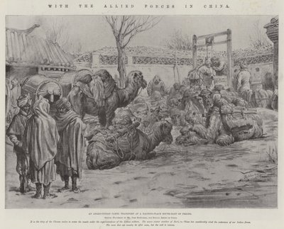 With the Allied Forces in China by Johann Nepomuk Schonberg
